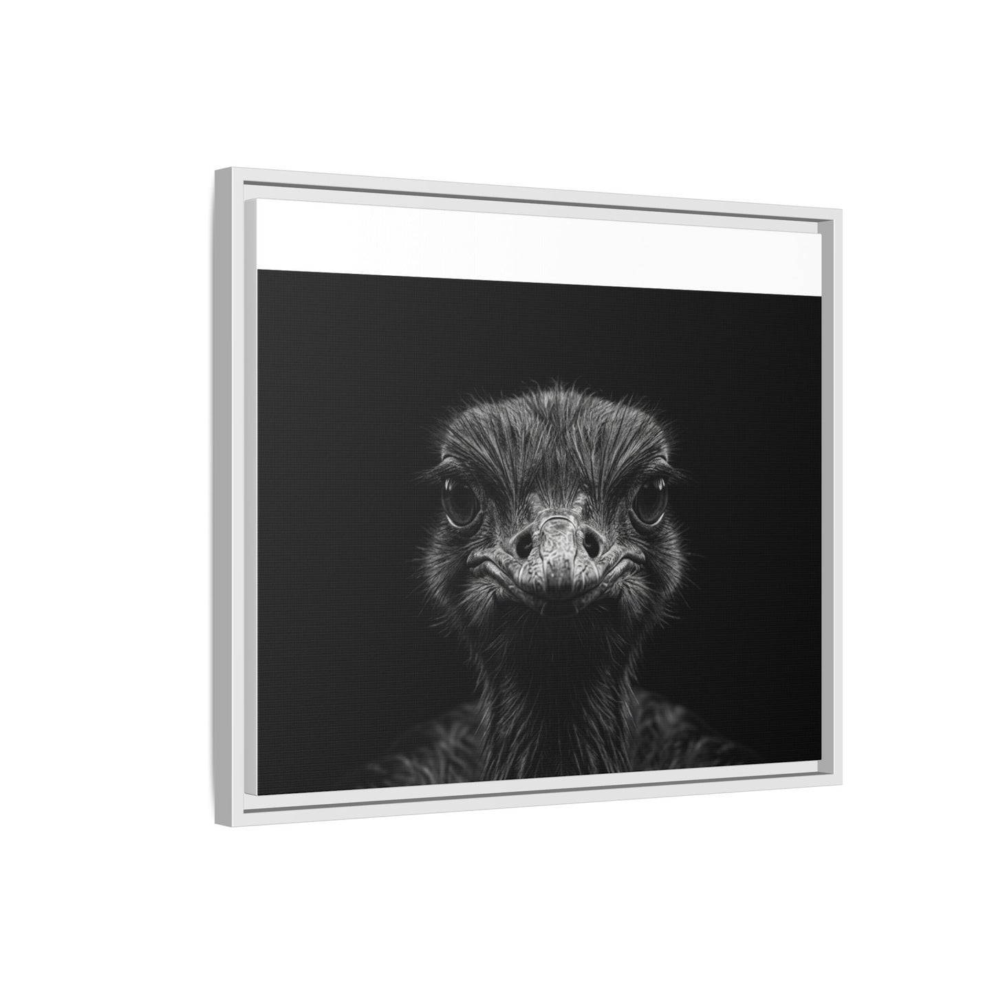 Framed Canvas Print — Ostrich In Black