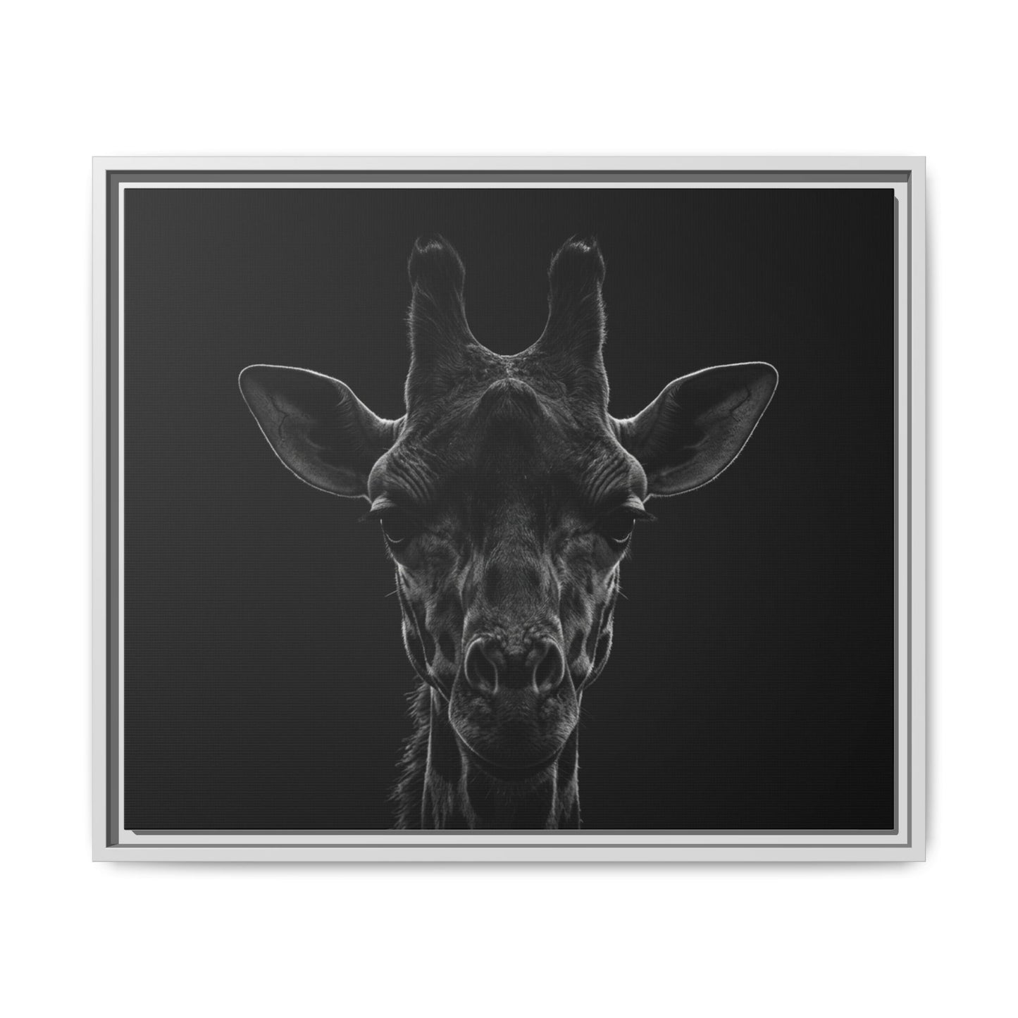 Framed Canvas Print — Giraffe In Black