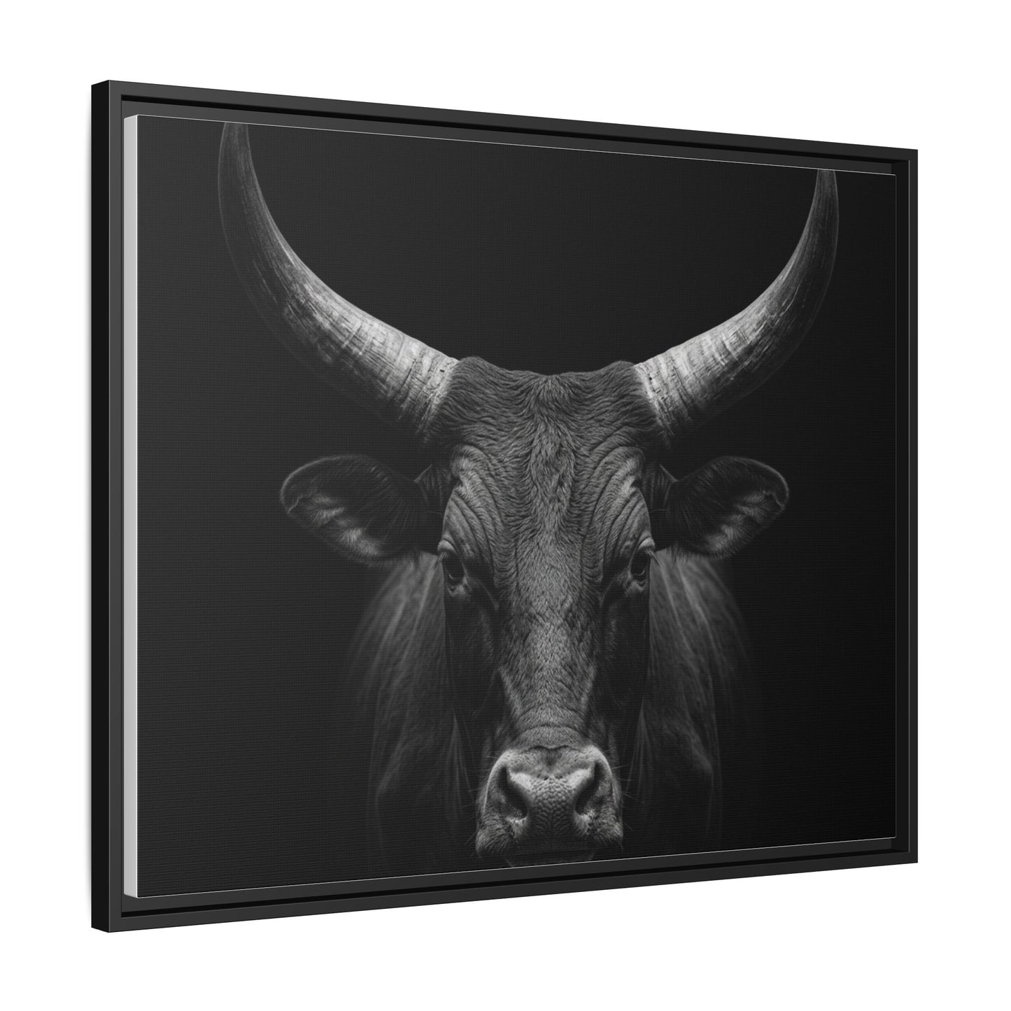 Framed Canvas Print — Ankole Cow In Black