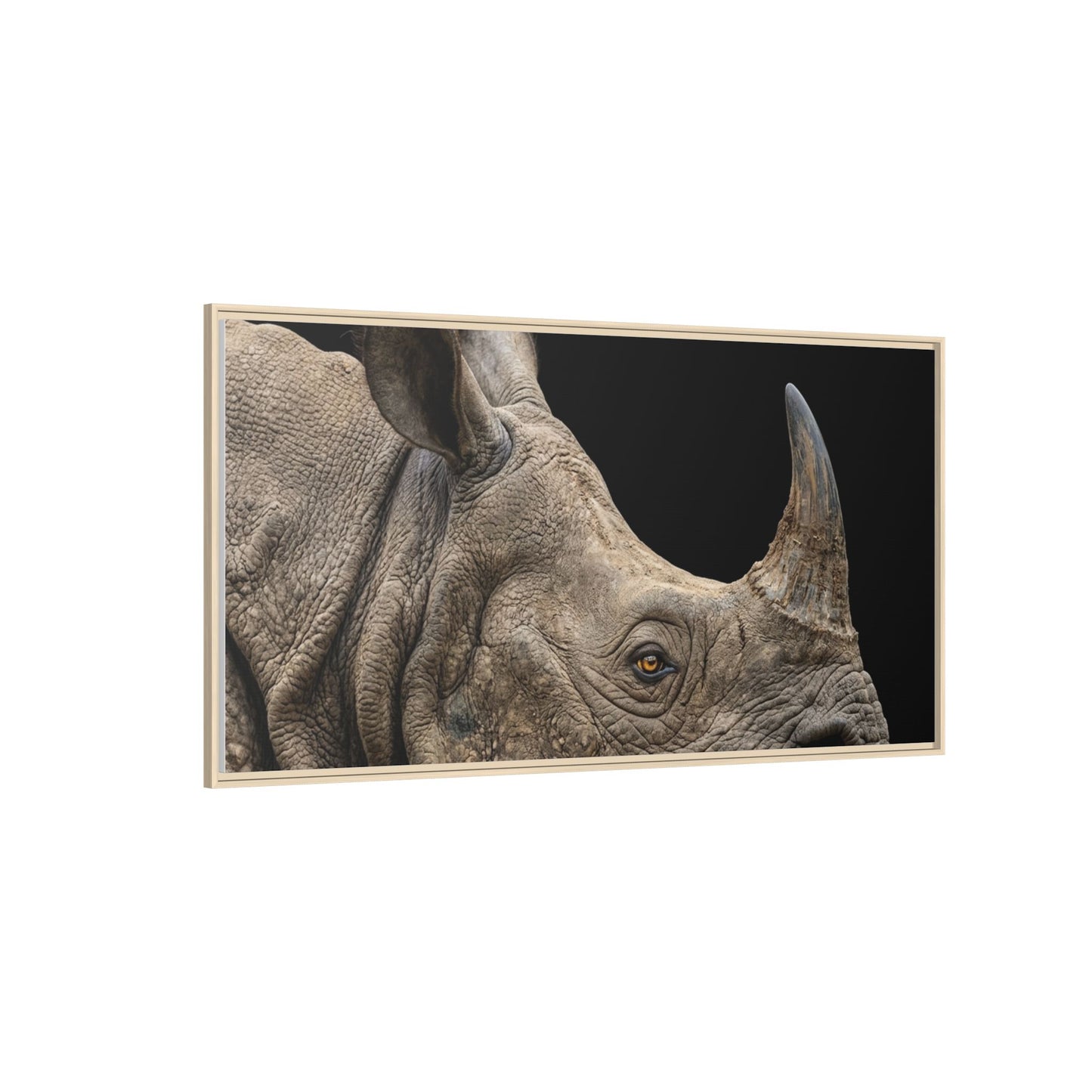 Framed Canvas Print — Rhinoceros In Colour