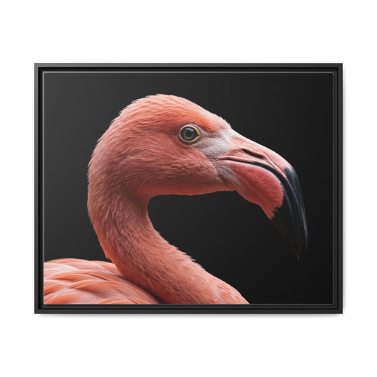 Framed Canvas Print — Flamingo In Colour