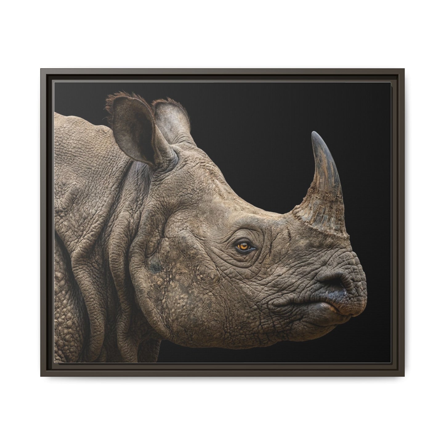 Framed Canvas Print — Rhinoceros In Colour