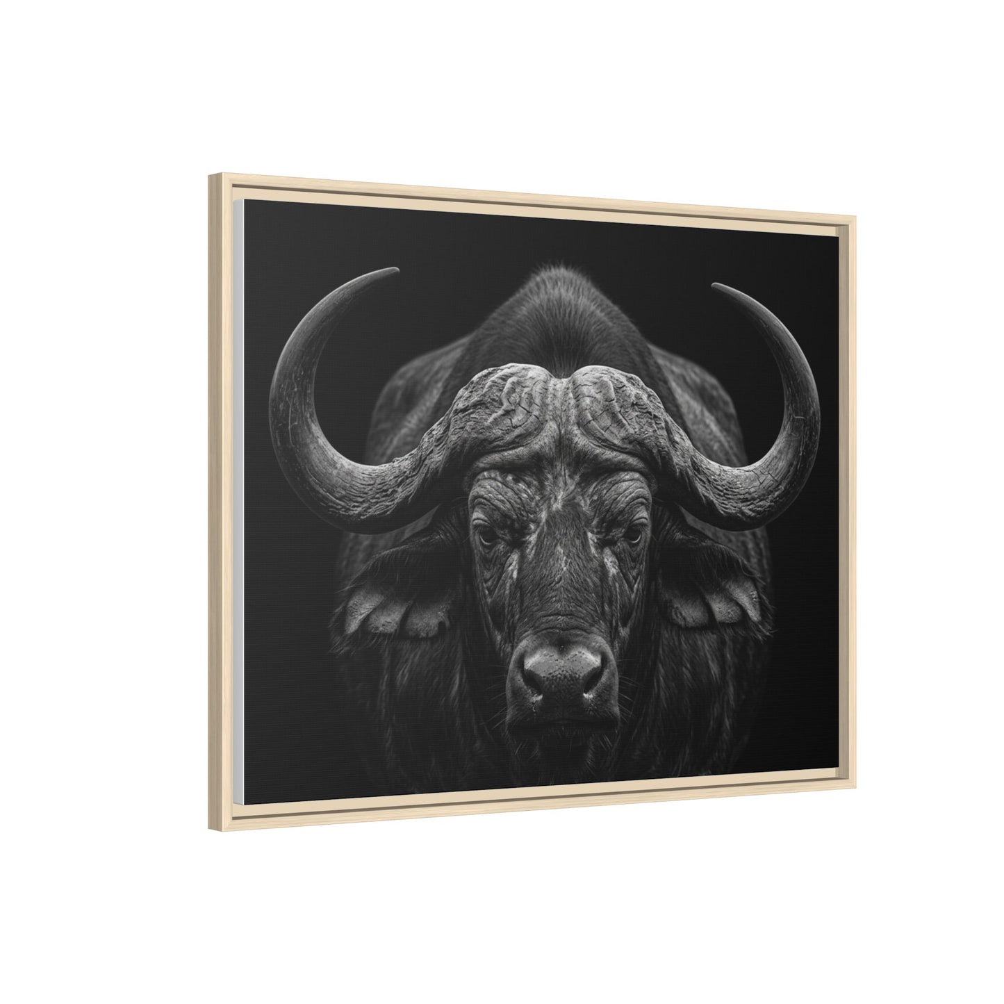 Framed Canvas Print — Cape Buffalo In Black