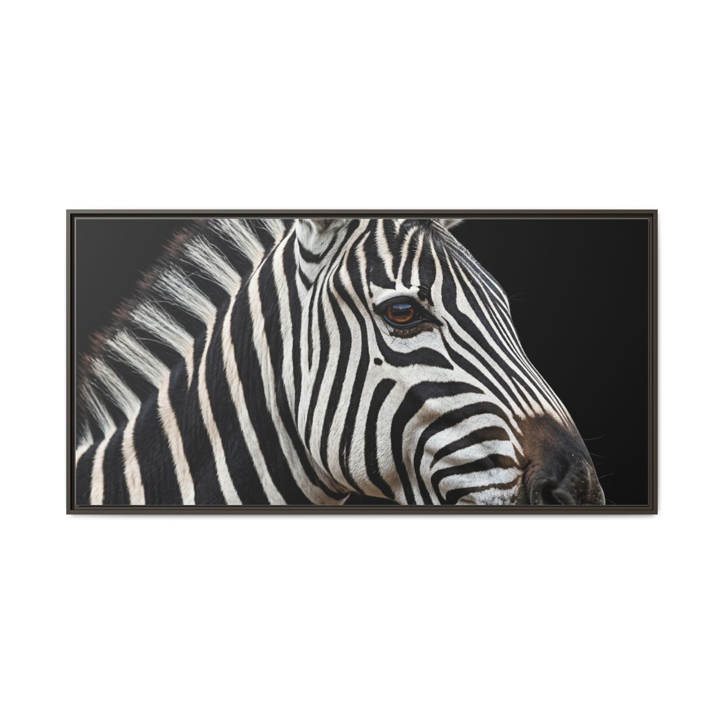 Framed Canvas Print — Zebra In Colour