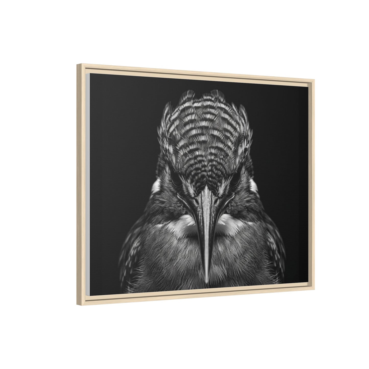 Framed Canvas Print — Malachite Kingfisher In Black