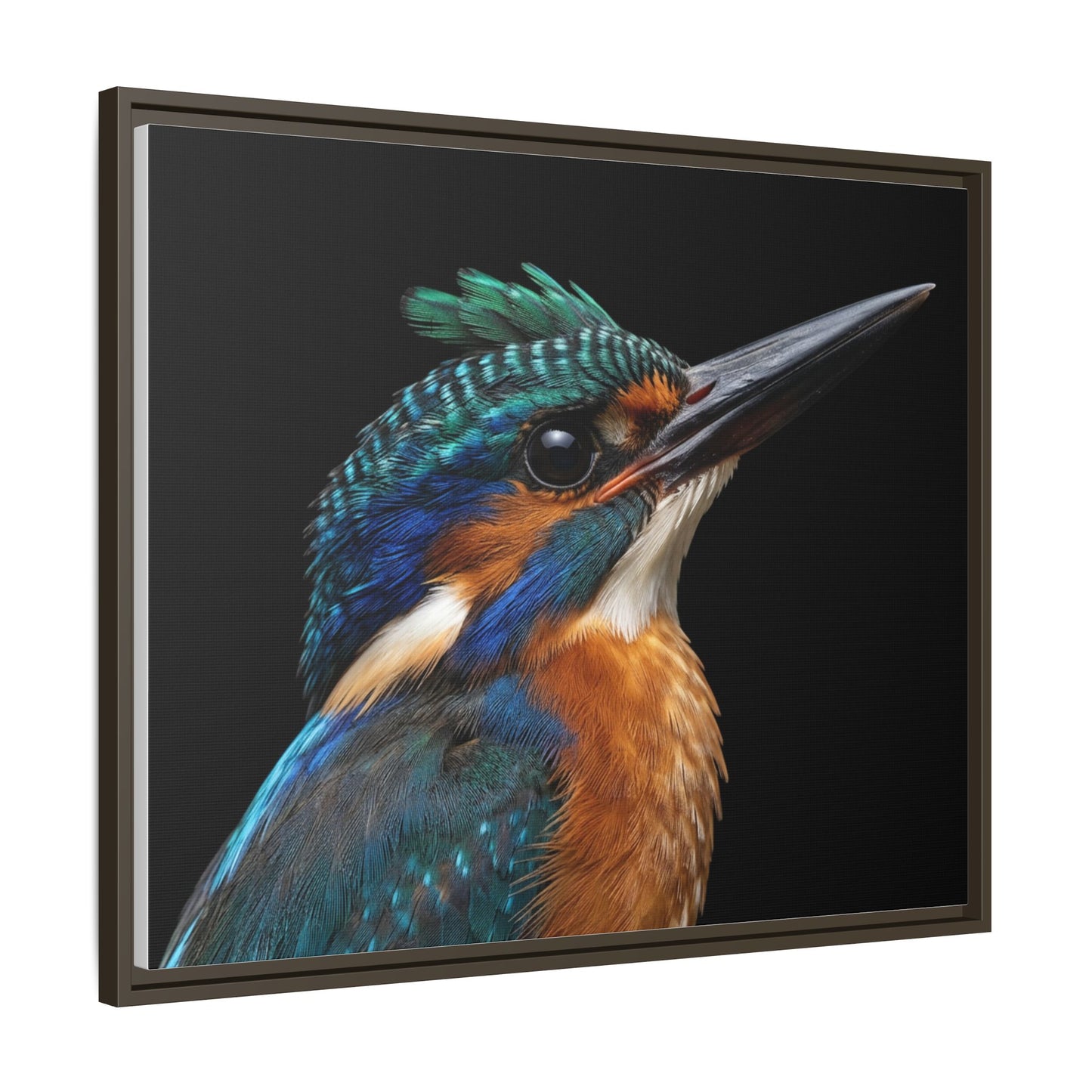 Framed Canvas Print — Malachite Kingfisher In Colour