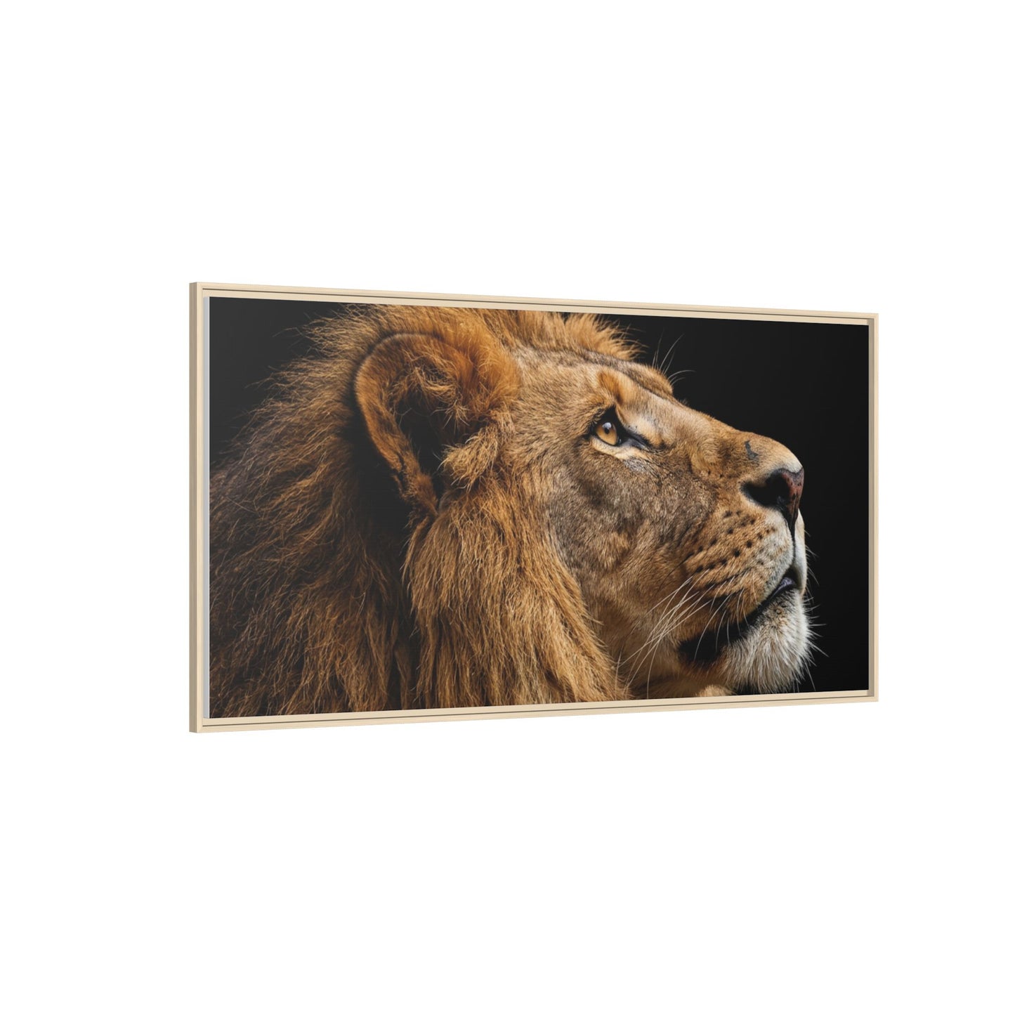 Framed Canvas Print — Lion In Colour