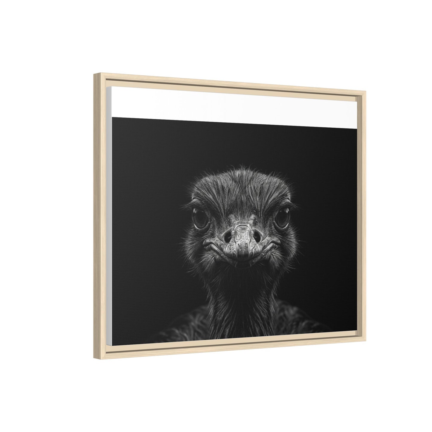 Framed Canvas Print — Ostrich In Black