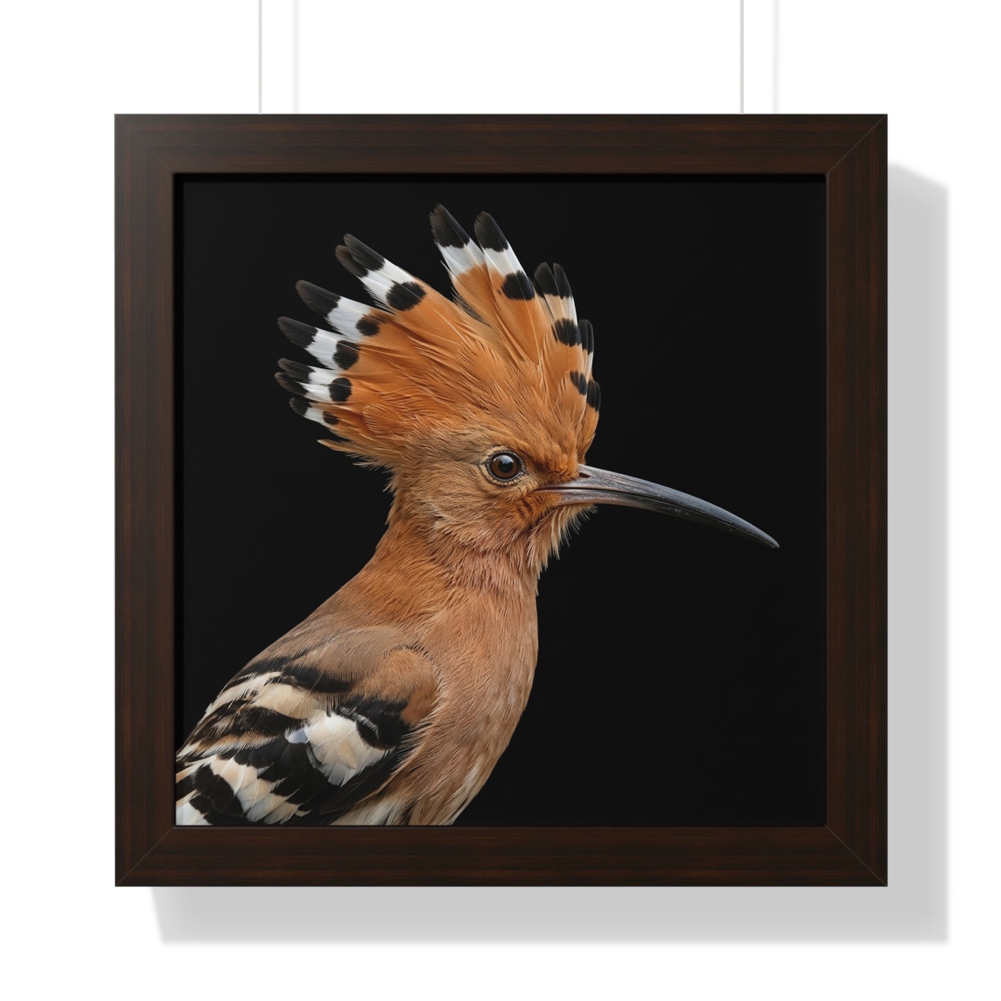 Framed Art Print – Afrikan Hoopoe In Colour