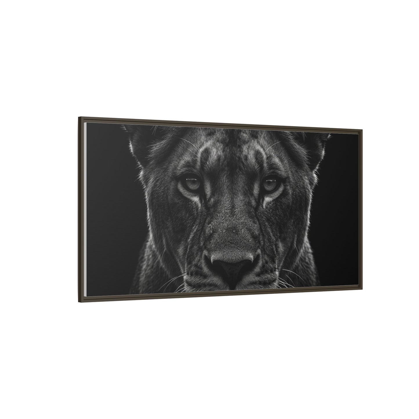 Framed Canvas Print — Lioness In Black