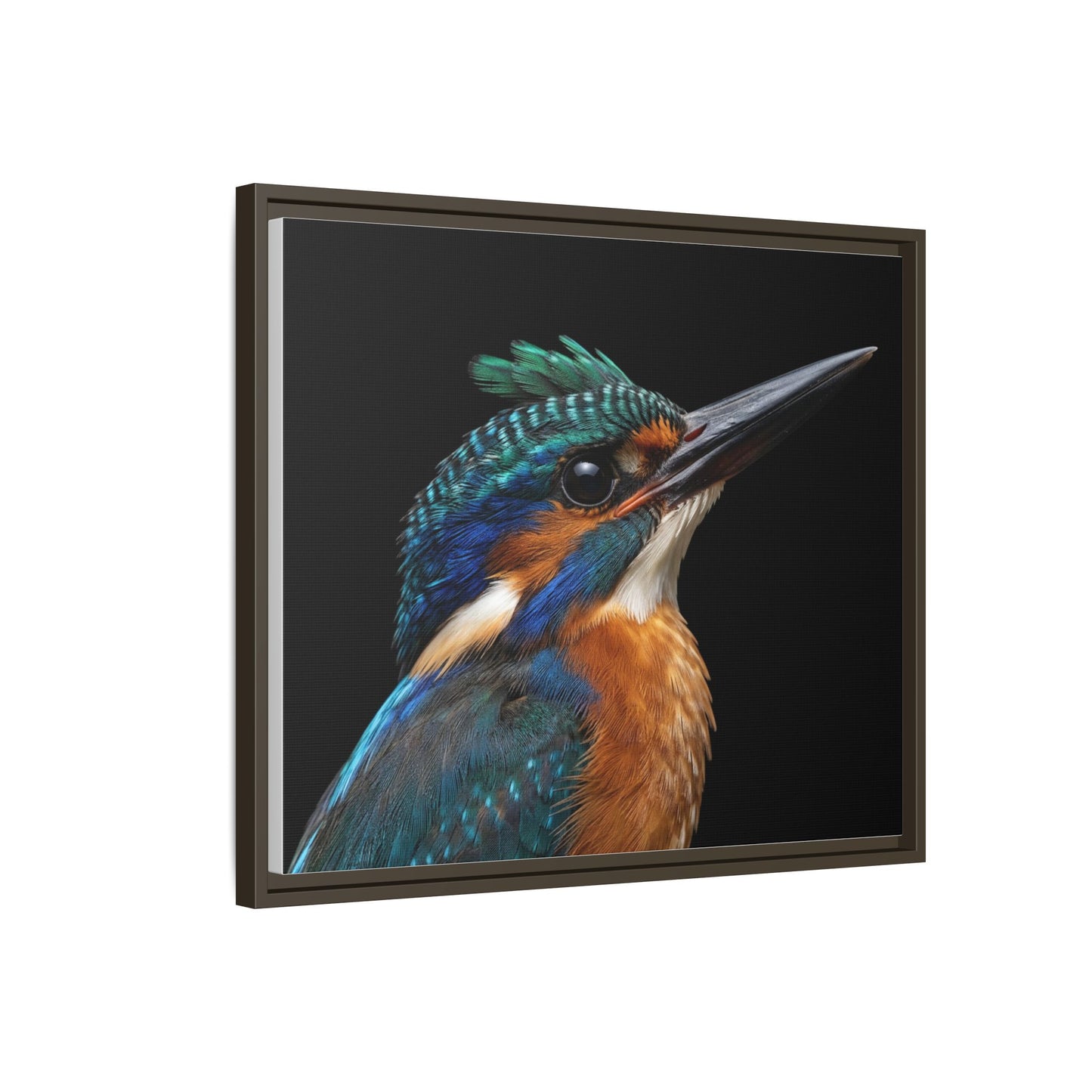 Framed Canvas Print — Malachite Kingfisher In Colour