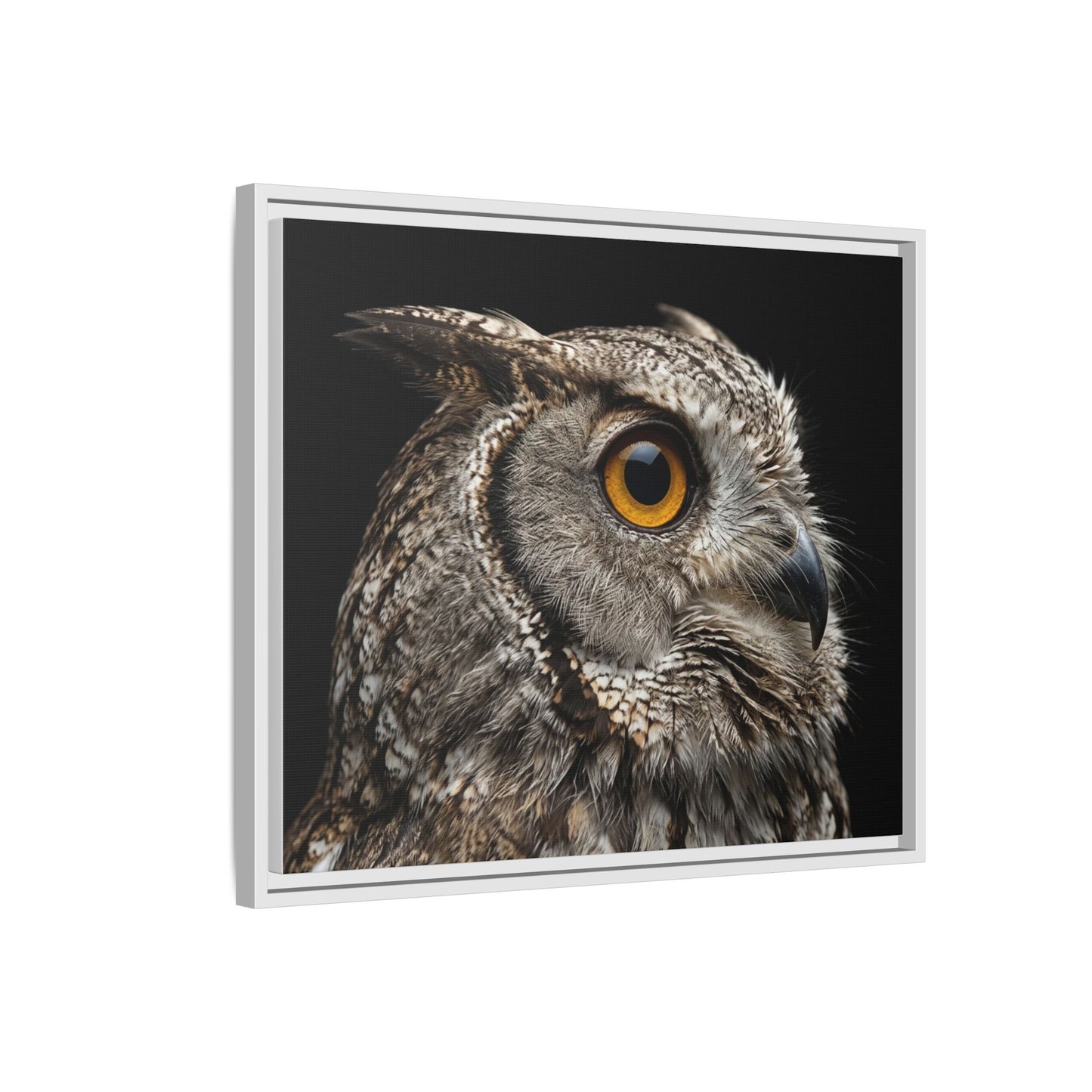 Framed Canvas Print — Scops Owl In Colour