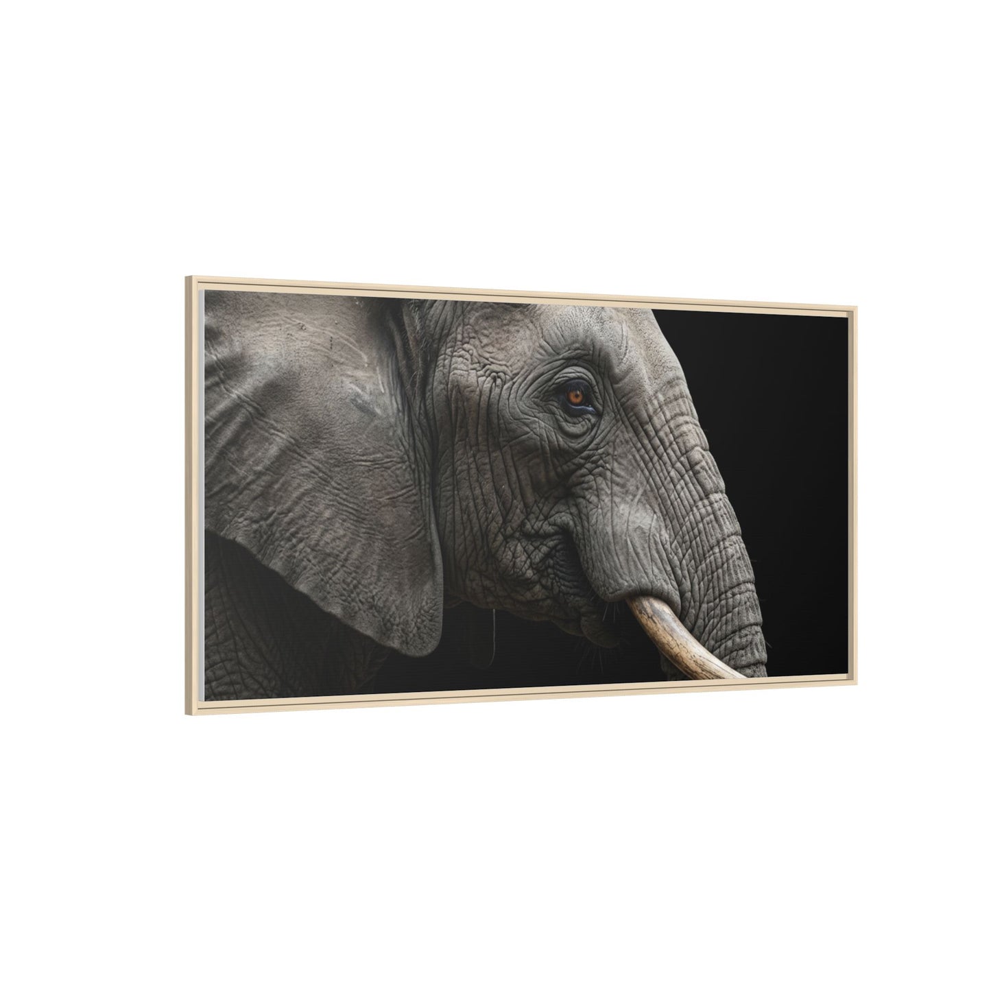 Framed Canvas Print — Elephant In Colour