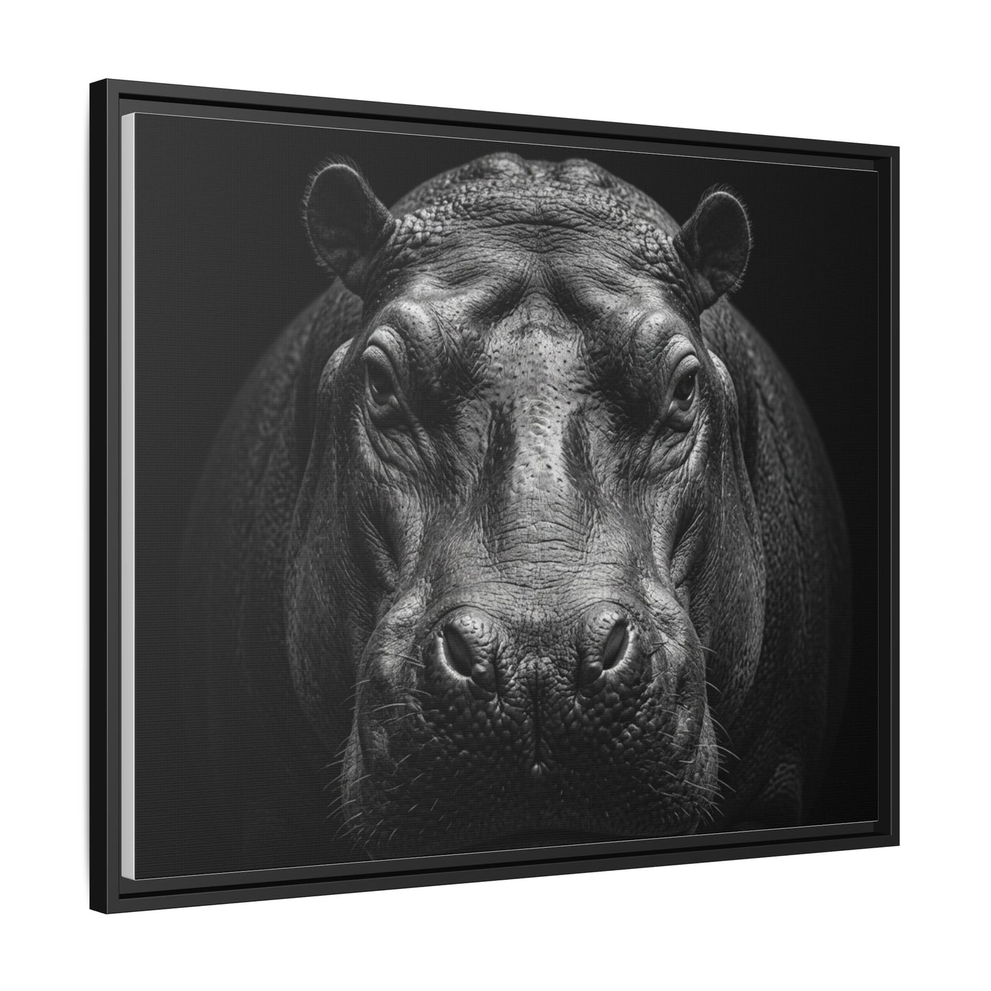 Framed Canvas Print — Hippopotamus In Black