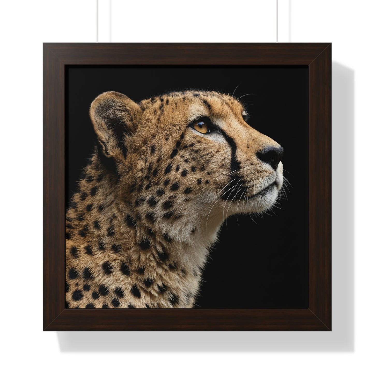 Framed Art Print – Cheetah In Colour