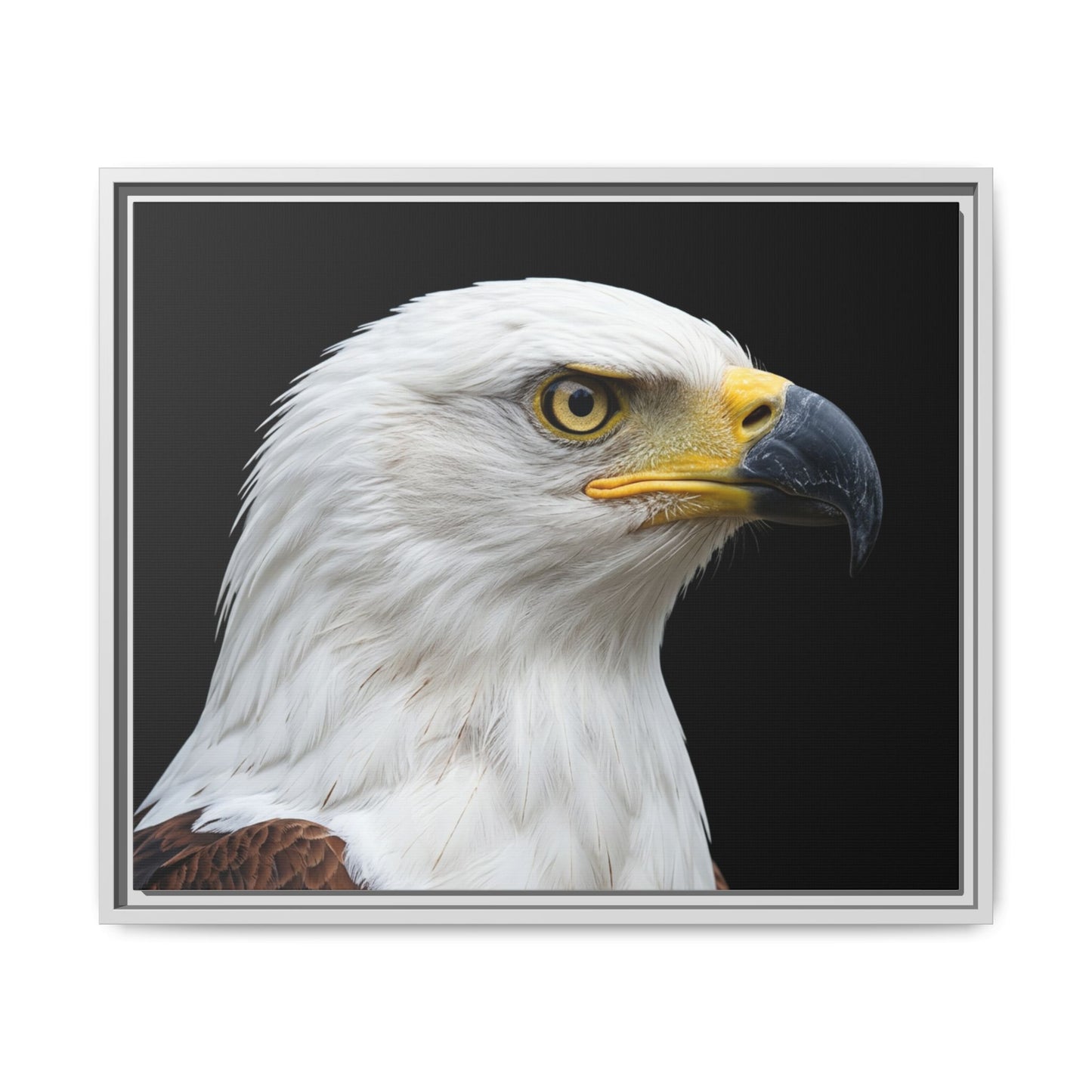 Framed Canvas Print — Fish Eagle In Colour