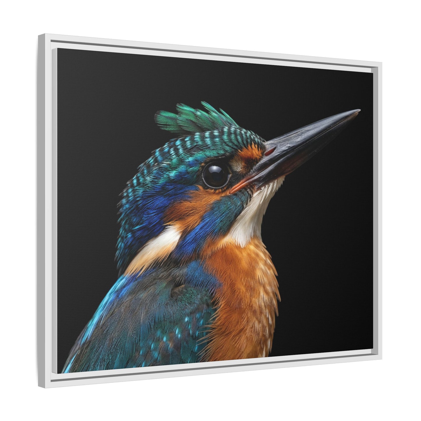 Framed Canvas Print — Malachite Kingfisher In Colour