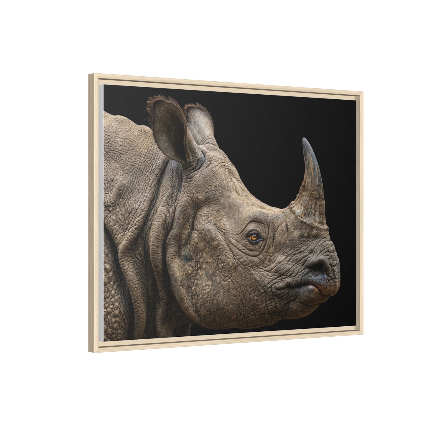 Framed Canvas Print — Rhinoceros In Colour