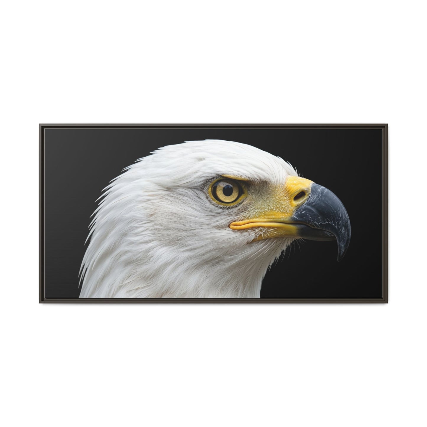 Framed Canvas Print — Fish Eagle In Colour