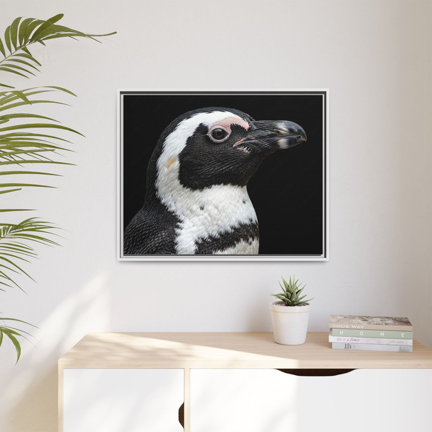 Framed Canvas Print — Afrikan Penguin In Colour