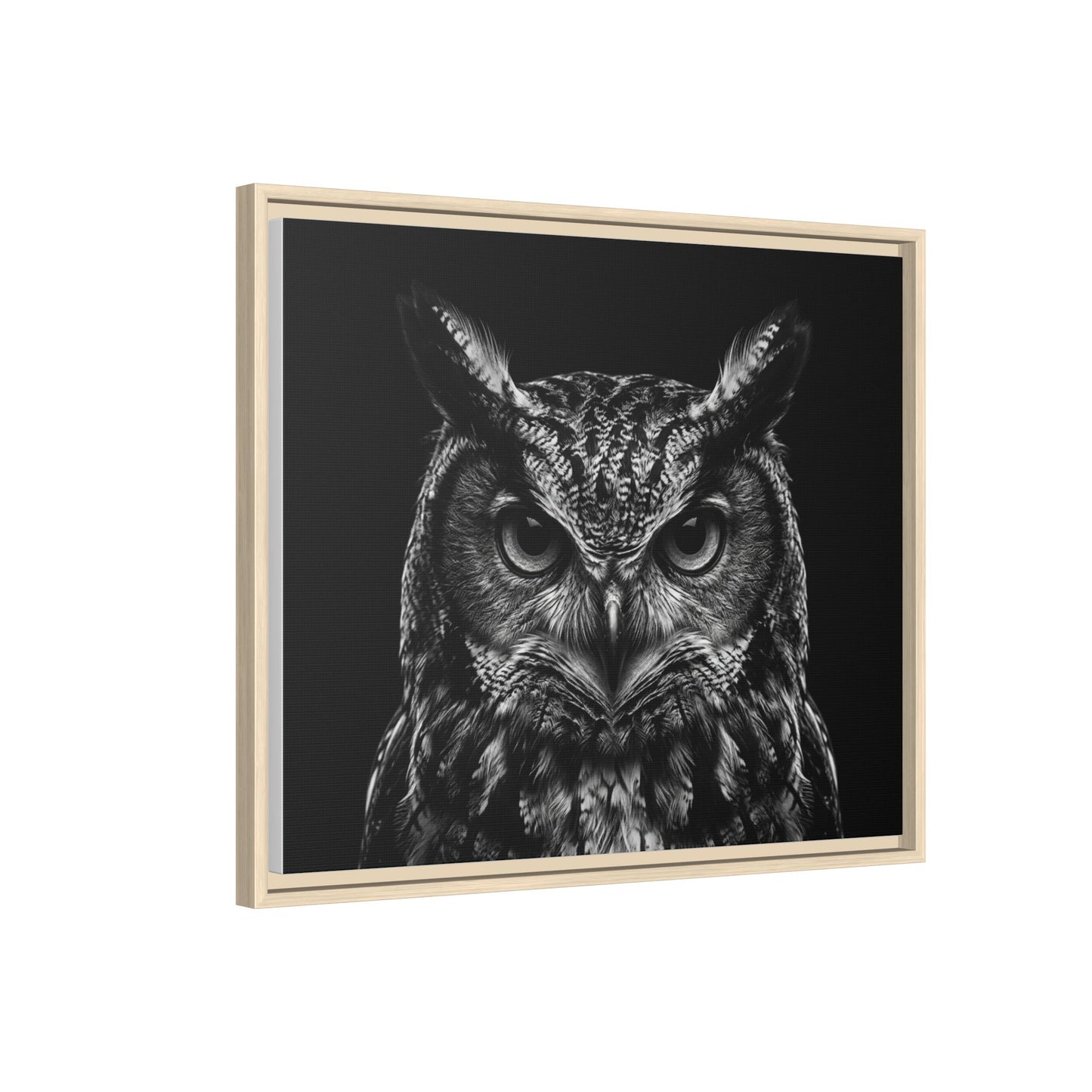 Framed Canvas Print — Scops Owl In Black