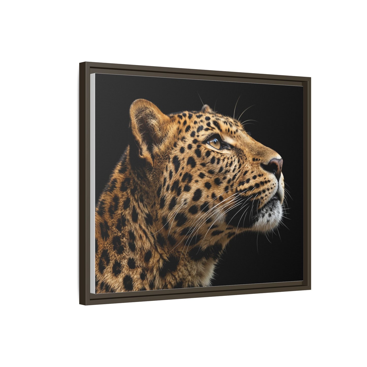 Framed Canvas Print — Leopard In Colour