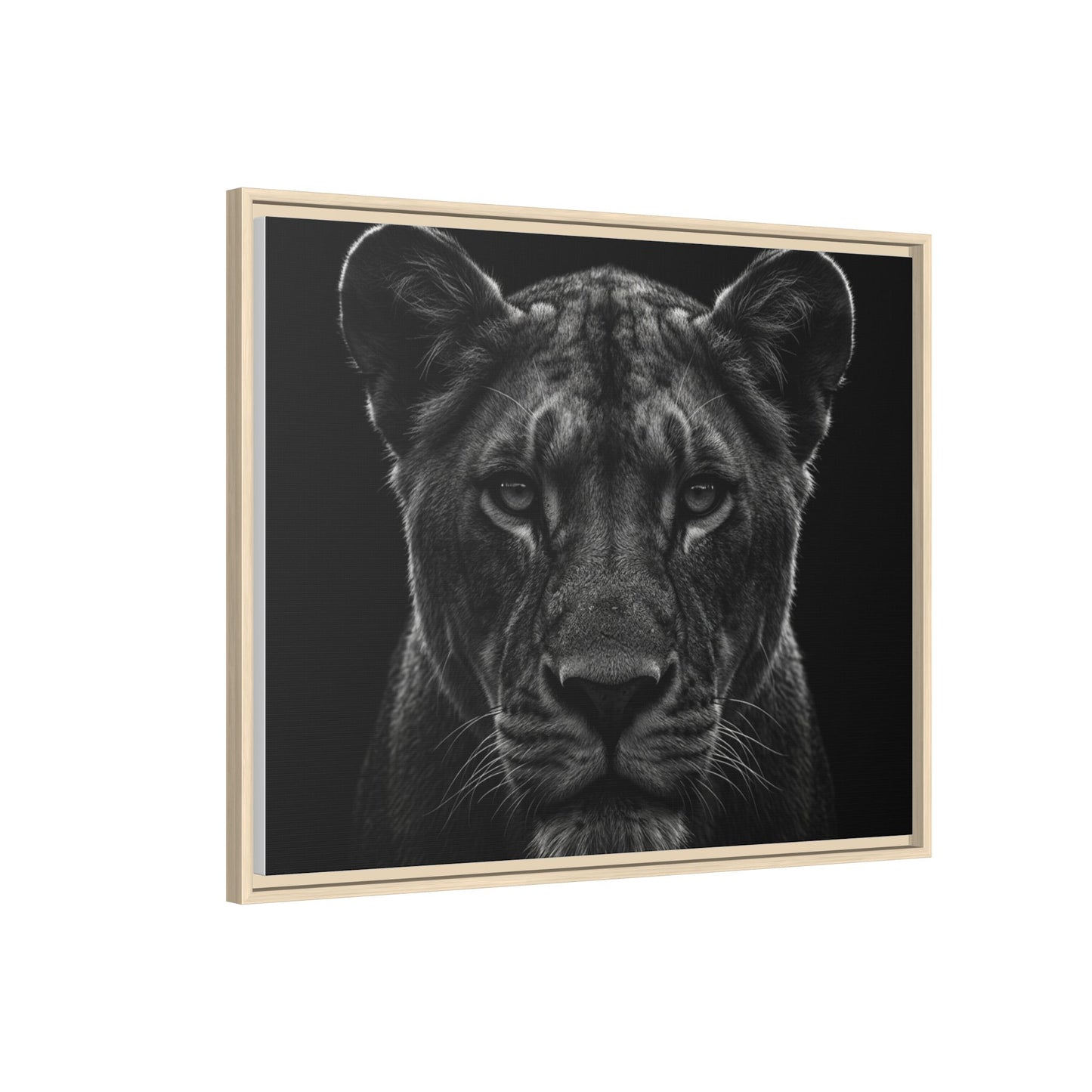 Framed Canvas Print — Lioness In Black