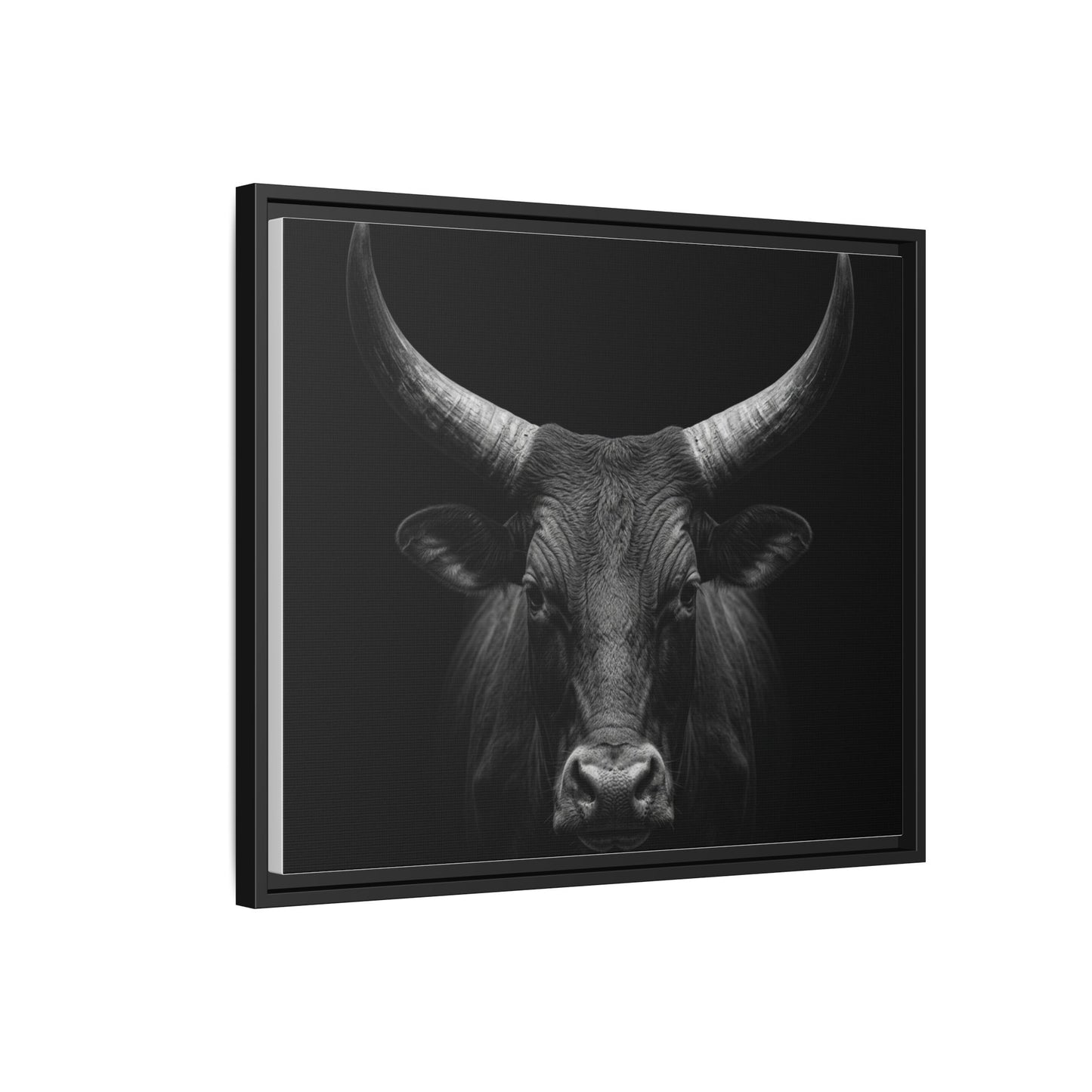 Framed Canvas Print — Ankole Cow In Black