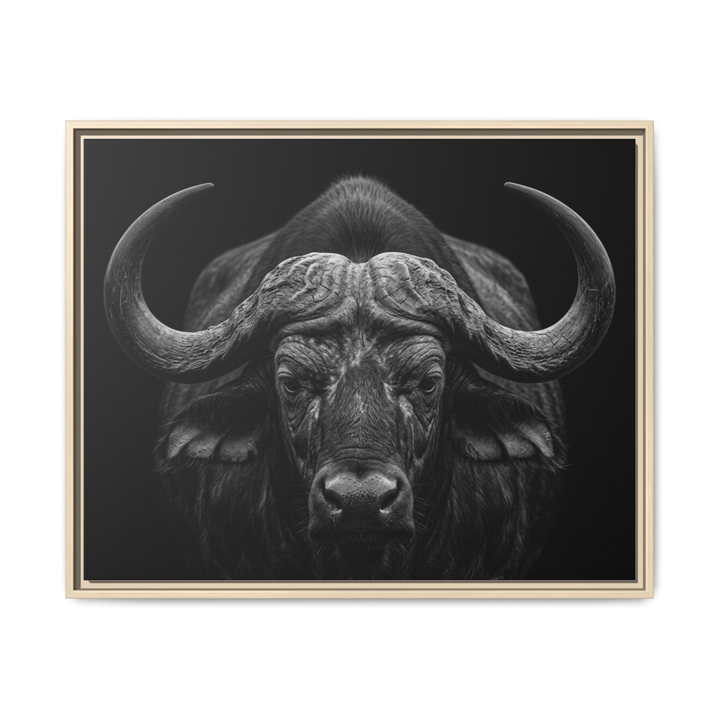 Framed Canvas Print — Cape Buffalo In Black