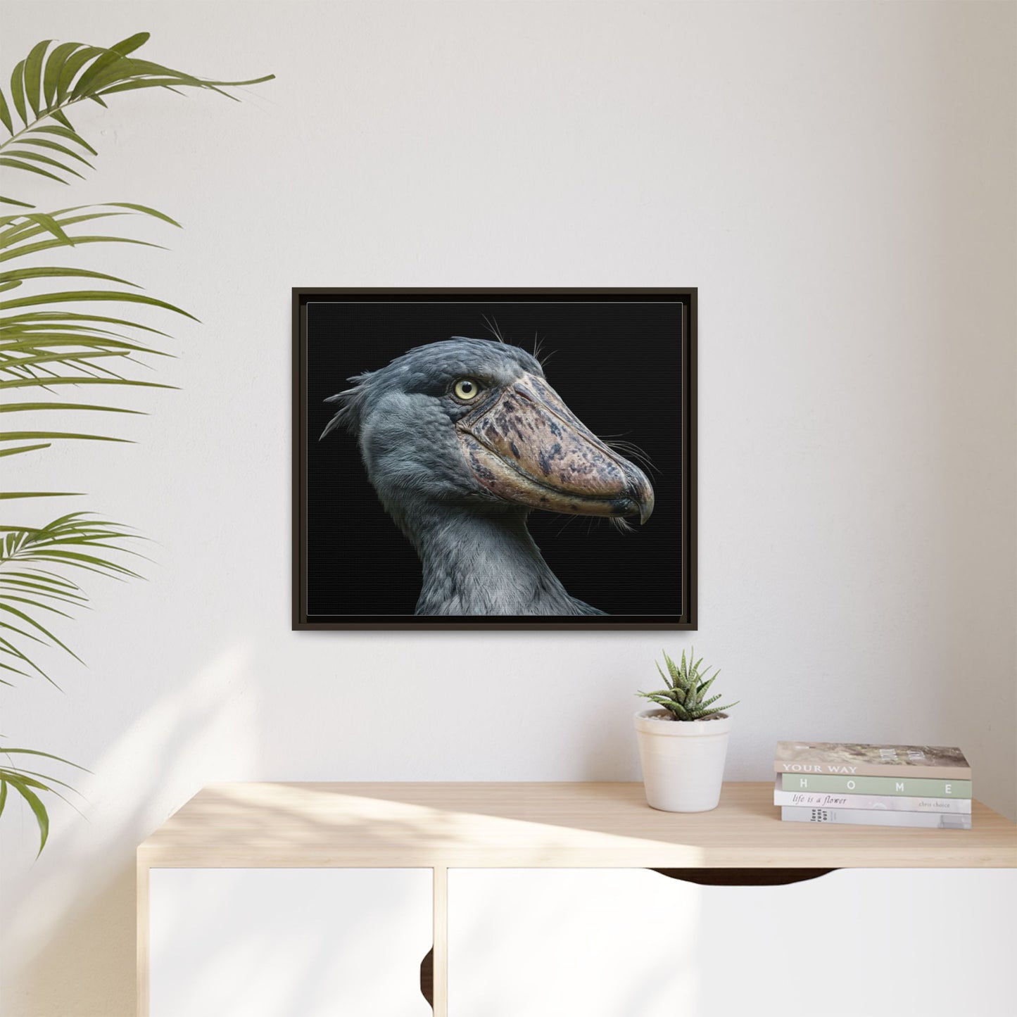 Framed Canvas Print — Shoebill Stork In Colour