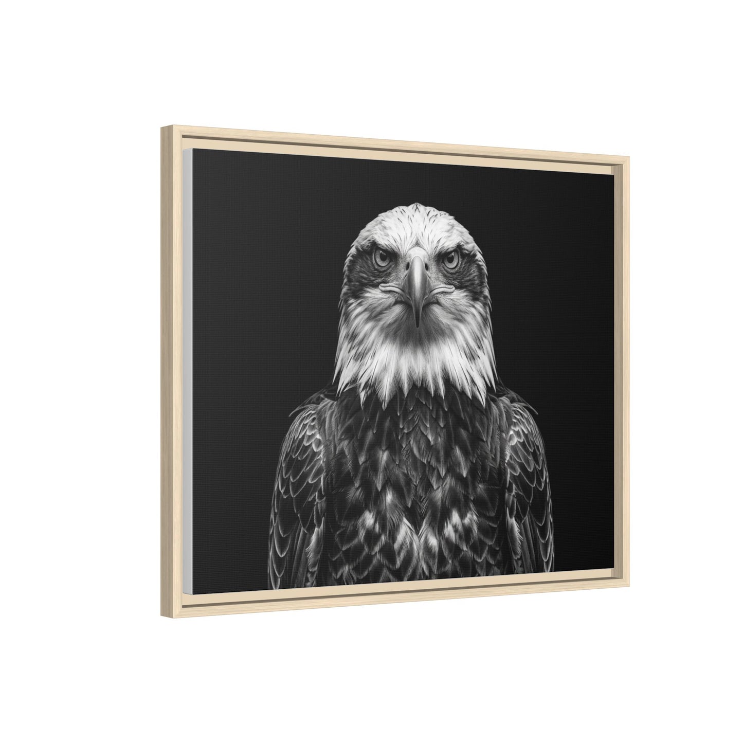 Framed Canvas Print — Fish Eagle In Black