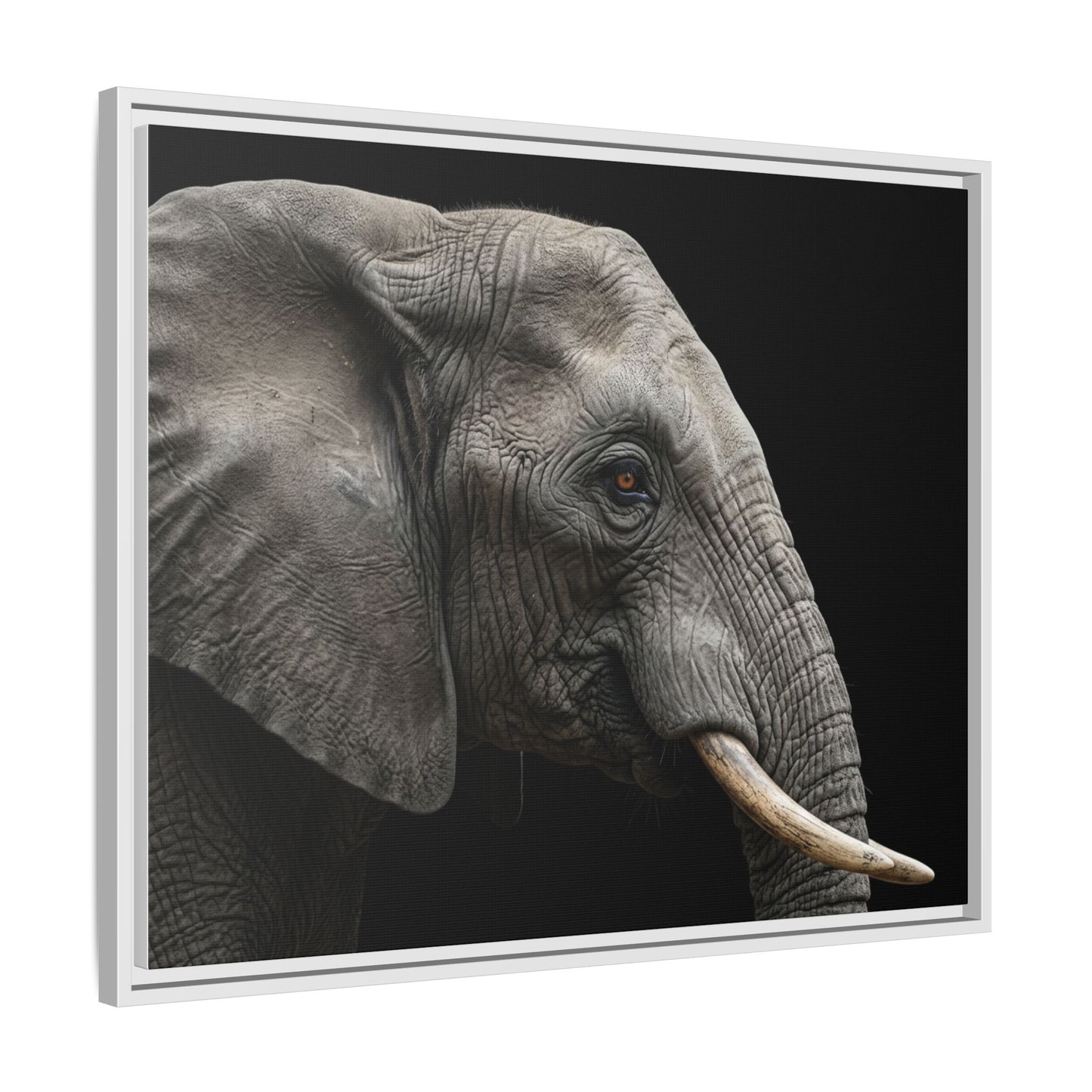 Framed Canvas Print — Elephant In Colour