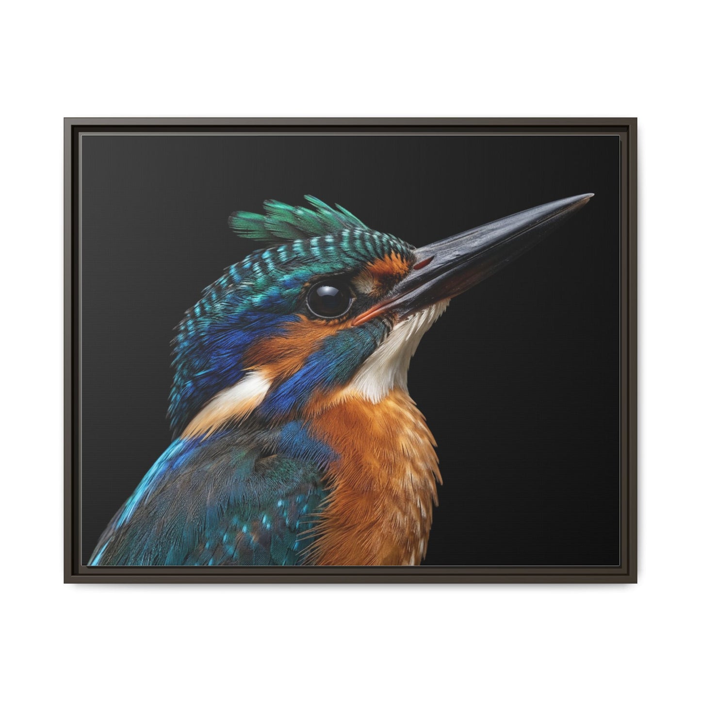 Framed Canvas Print — Malachite Kingfisher In Colour