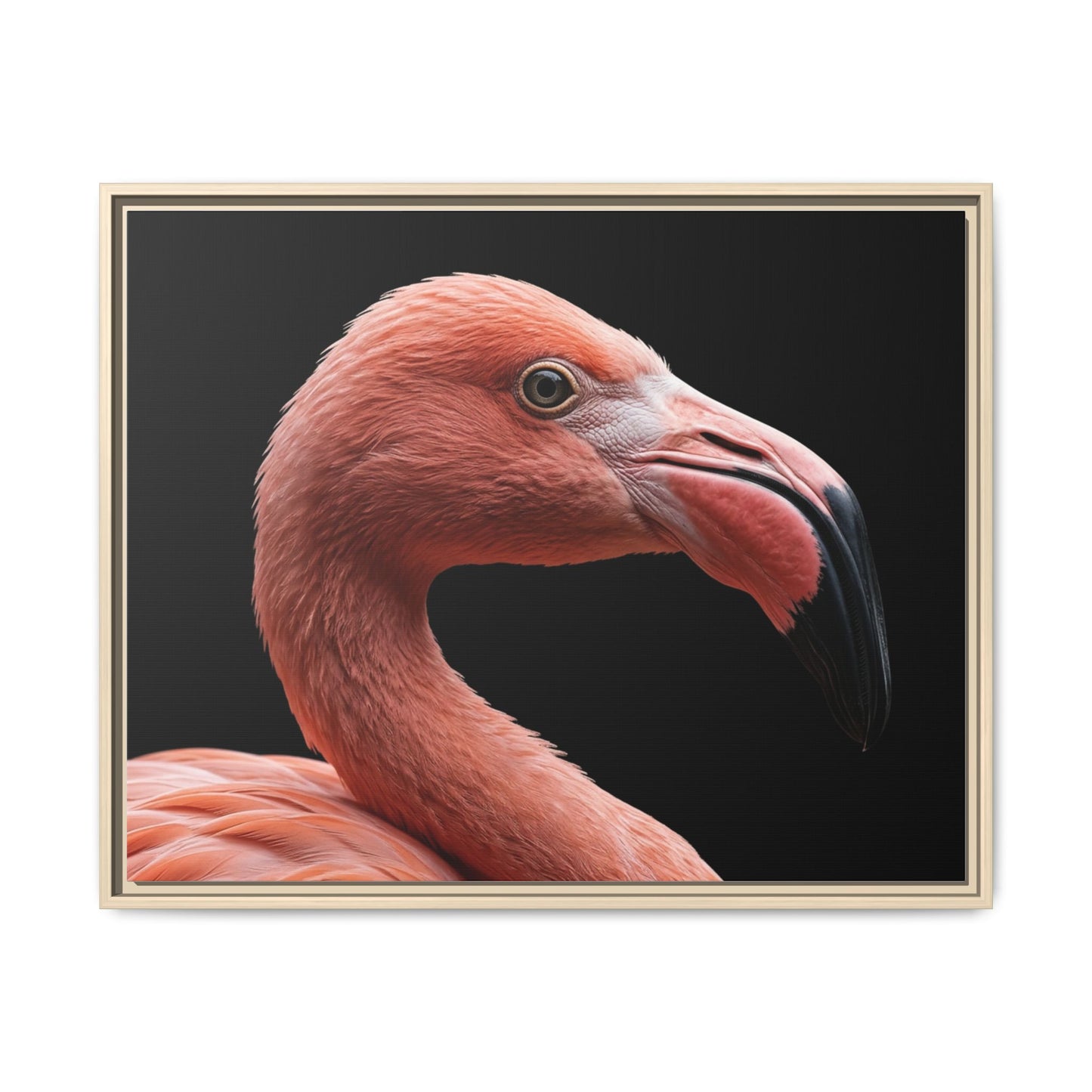 Framed Canvas Print — Flamingo In Colour