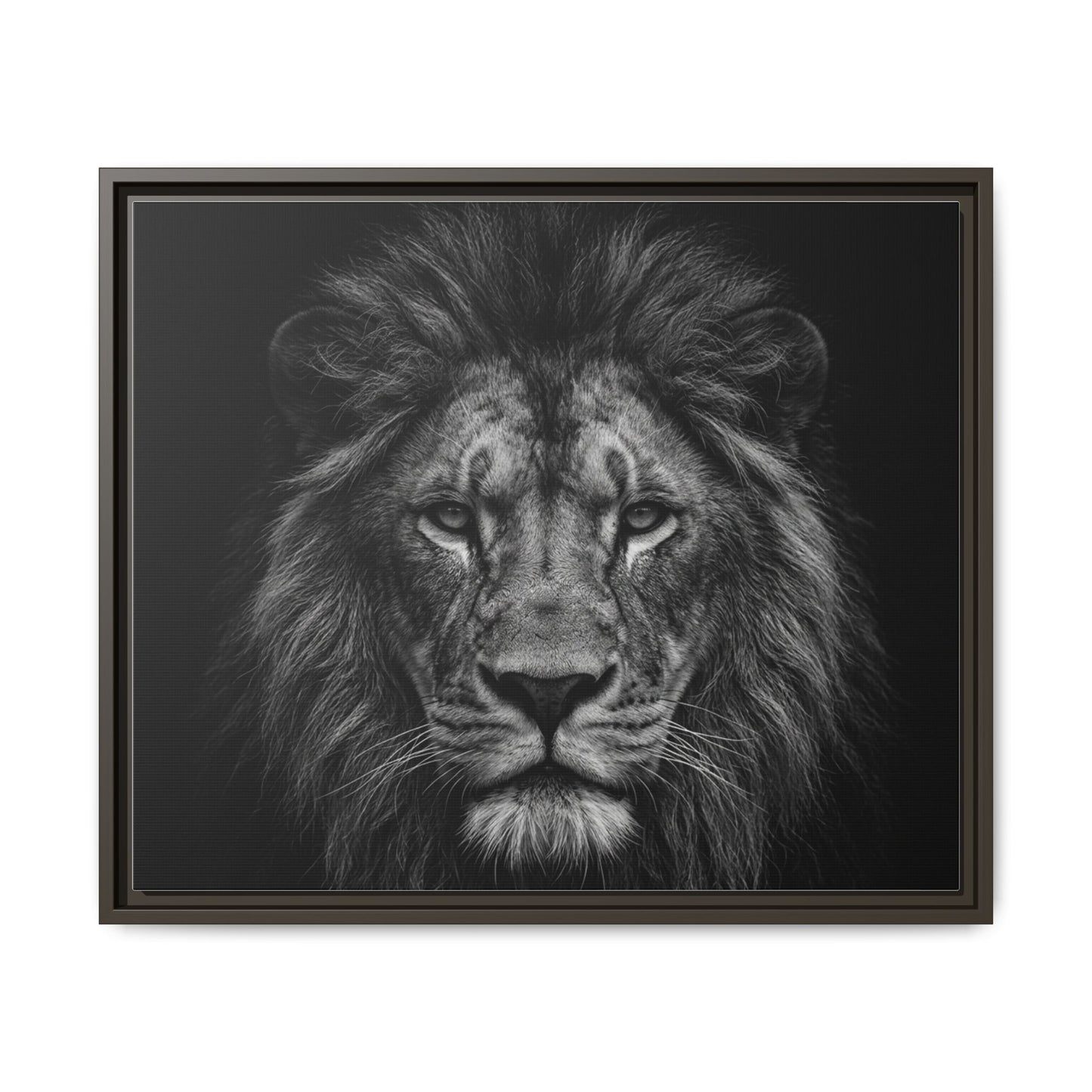 Framed Canvas Print — Lion In Black