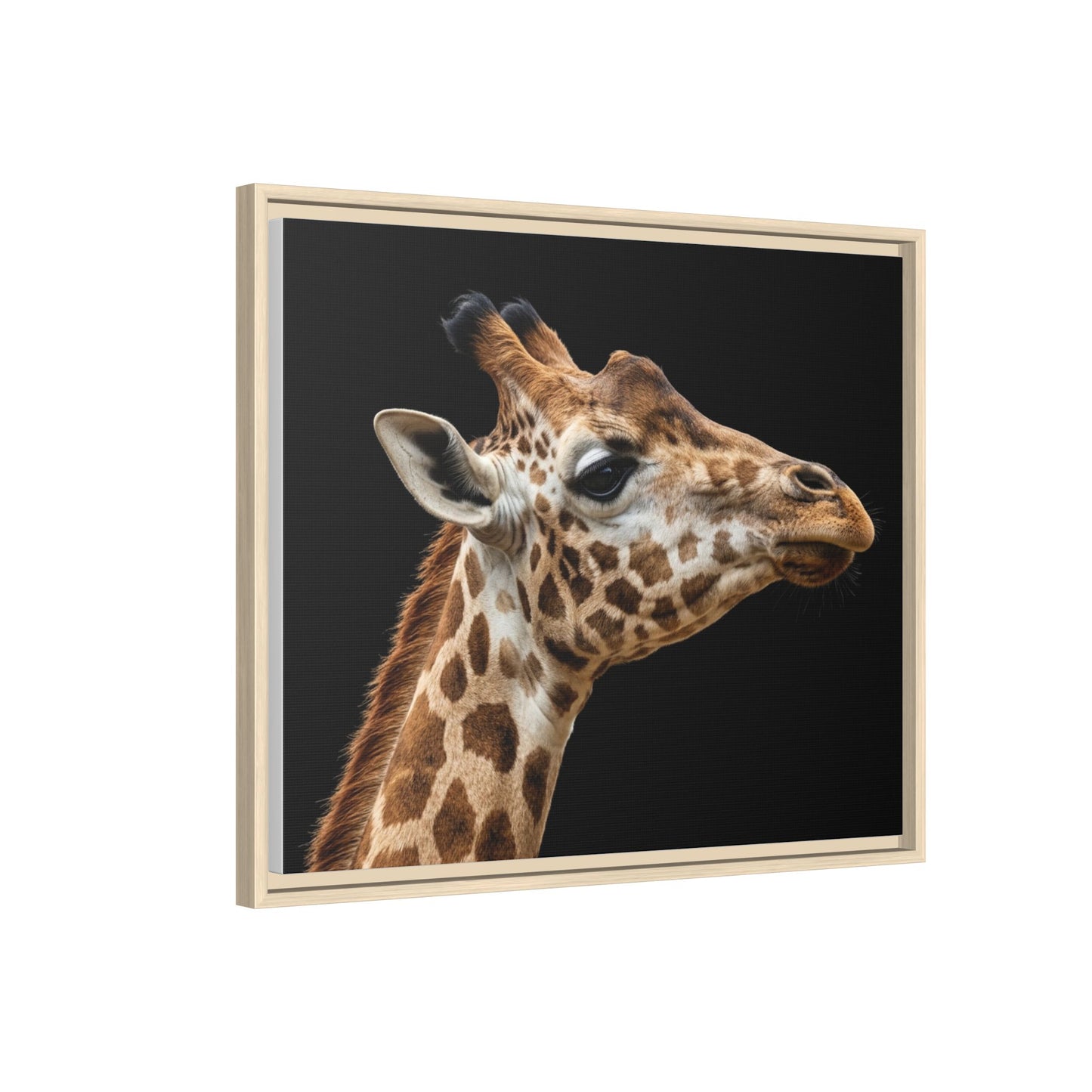 Framed Canvas Print — Giraffe In Colour