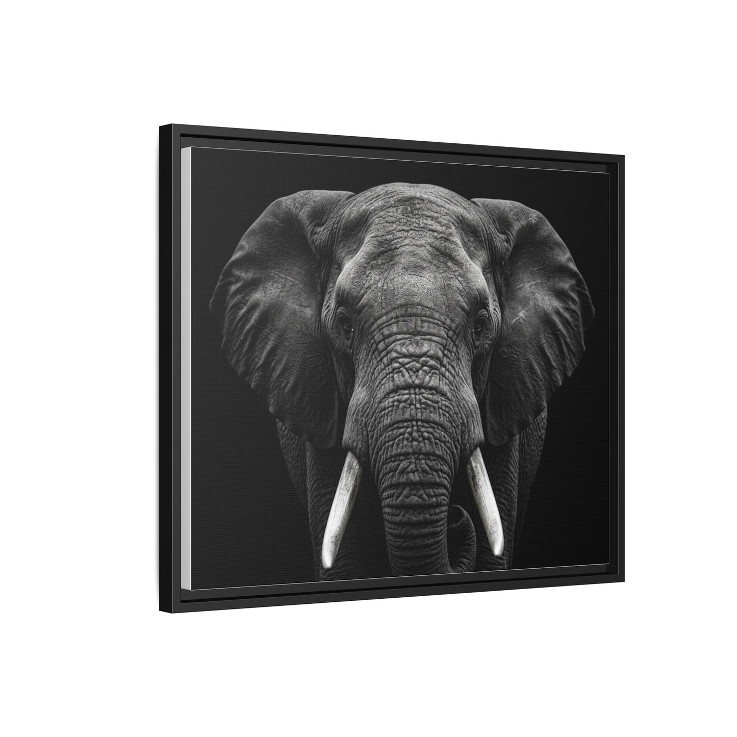 Framed Canvas Print — Elephant In Black