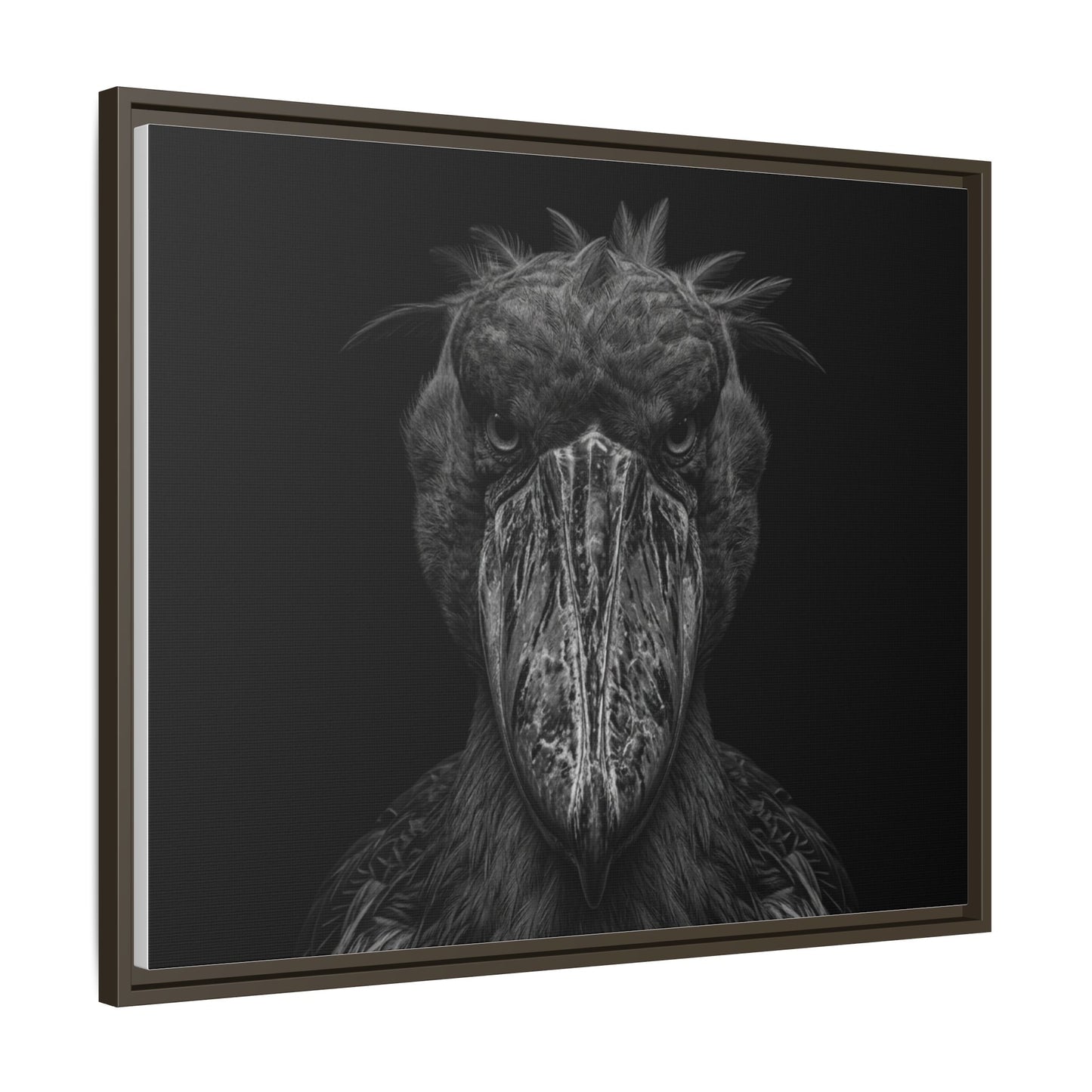Framed Canvas Print — Shoebill Stock In Black