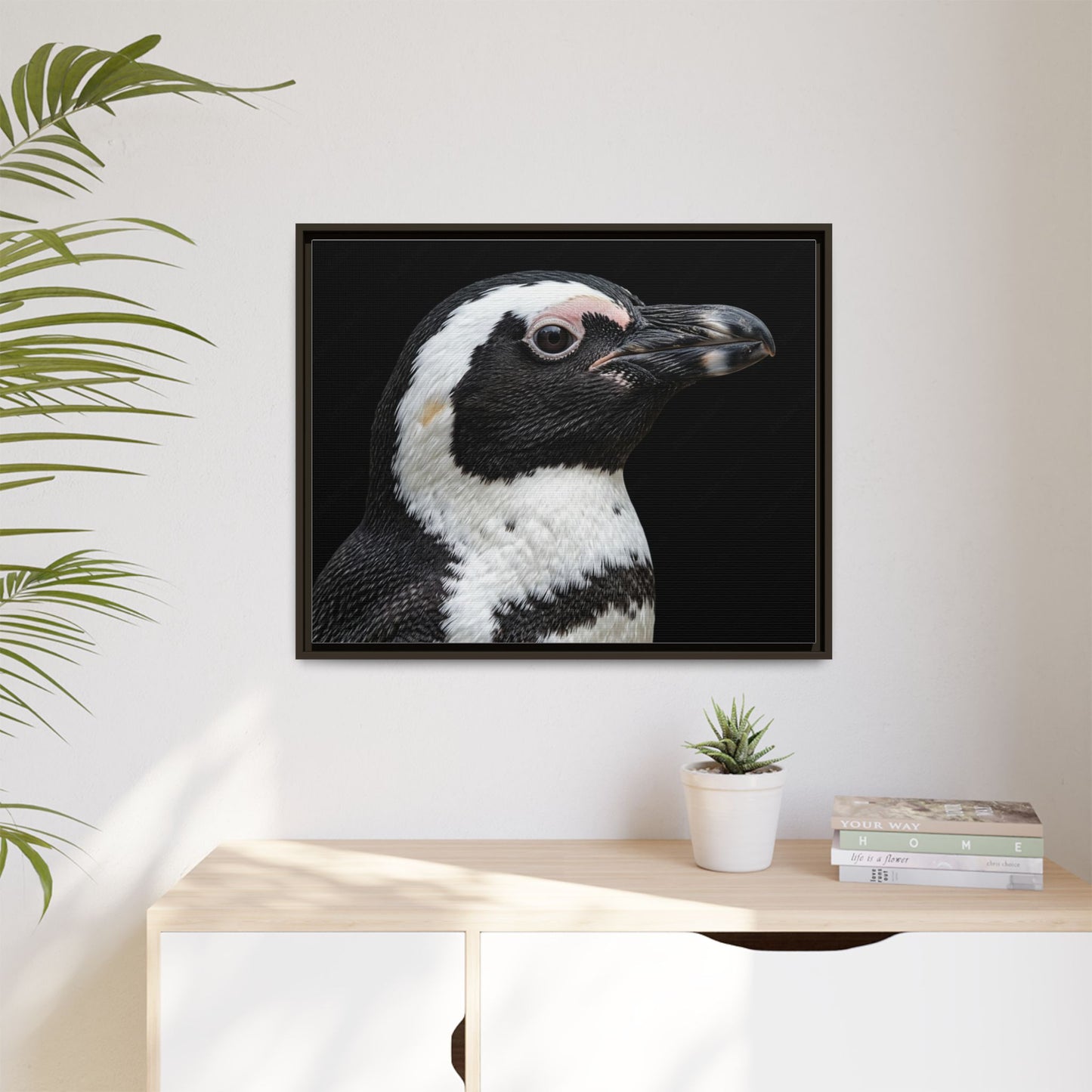 Framed Canvas Print — Afrikan Penguin In Colour