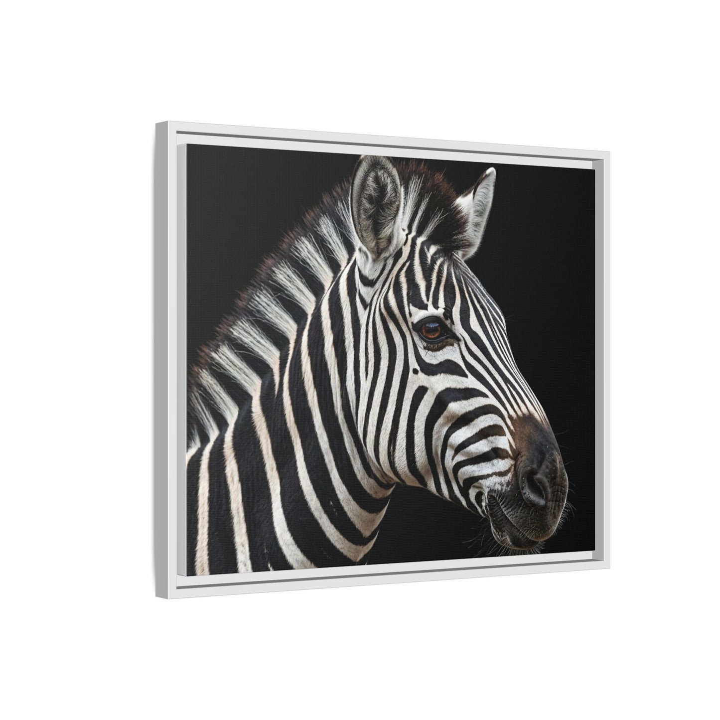 Framed Canvas Print — Zebra In Colour