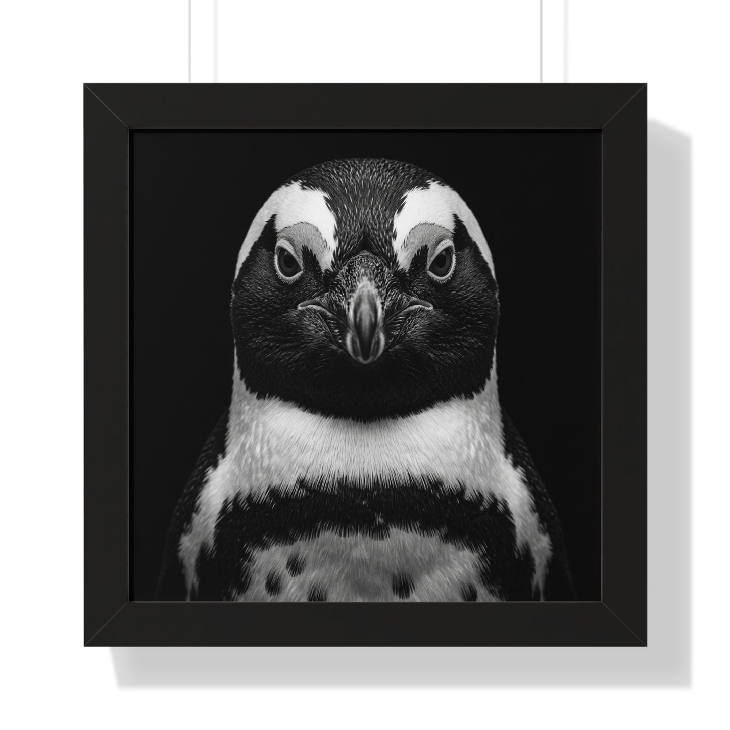Framed Art Print – Afrikan Penguin In Black