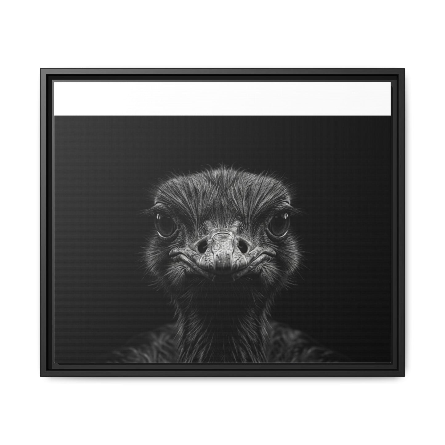 Framed Canvas Print — Ostrich In Black