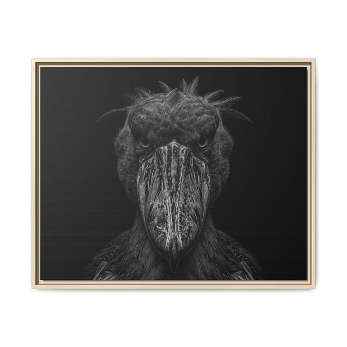 Framed Canvas Print — Shoebill Stock In Black