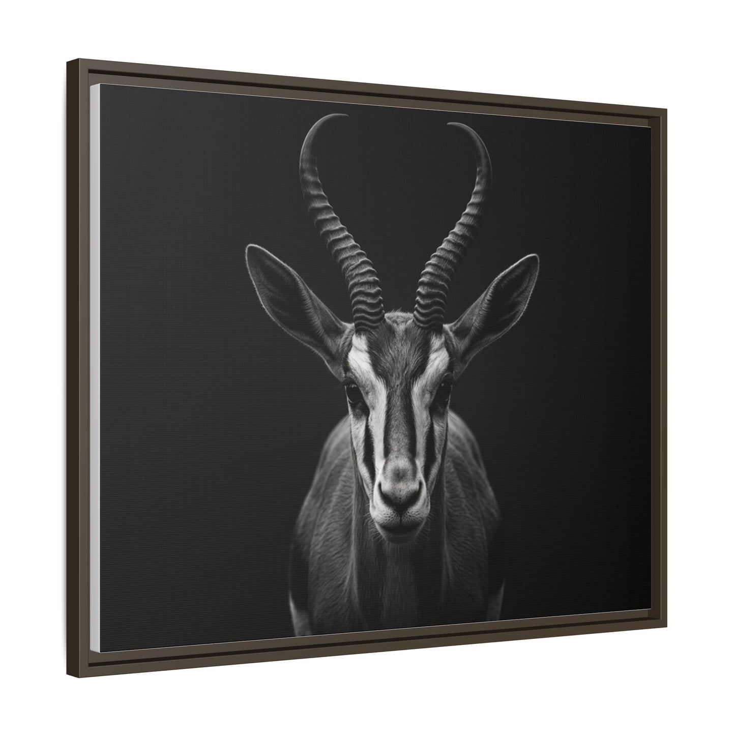 Framed Canvas Print — Springbok In Black