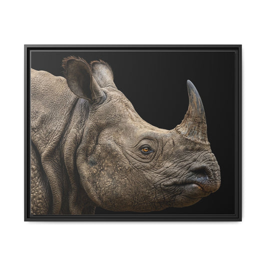 Framed Canvas Print — Rhinoceros In Colour
