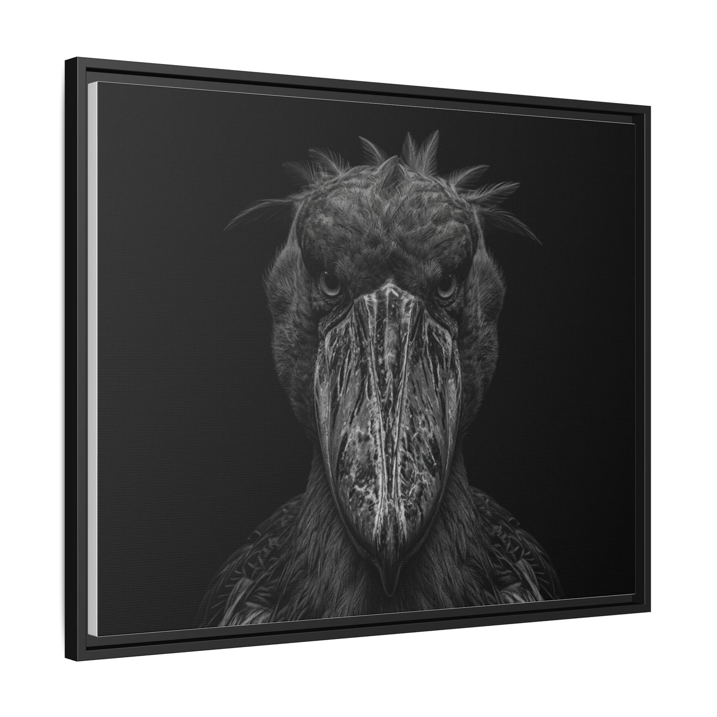 Framed Canvas Print — Shoebill Stock In Black