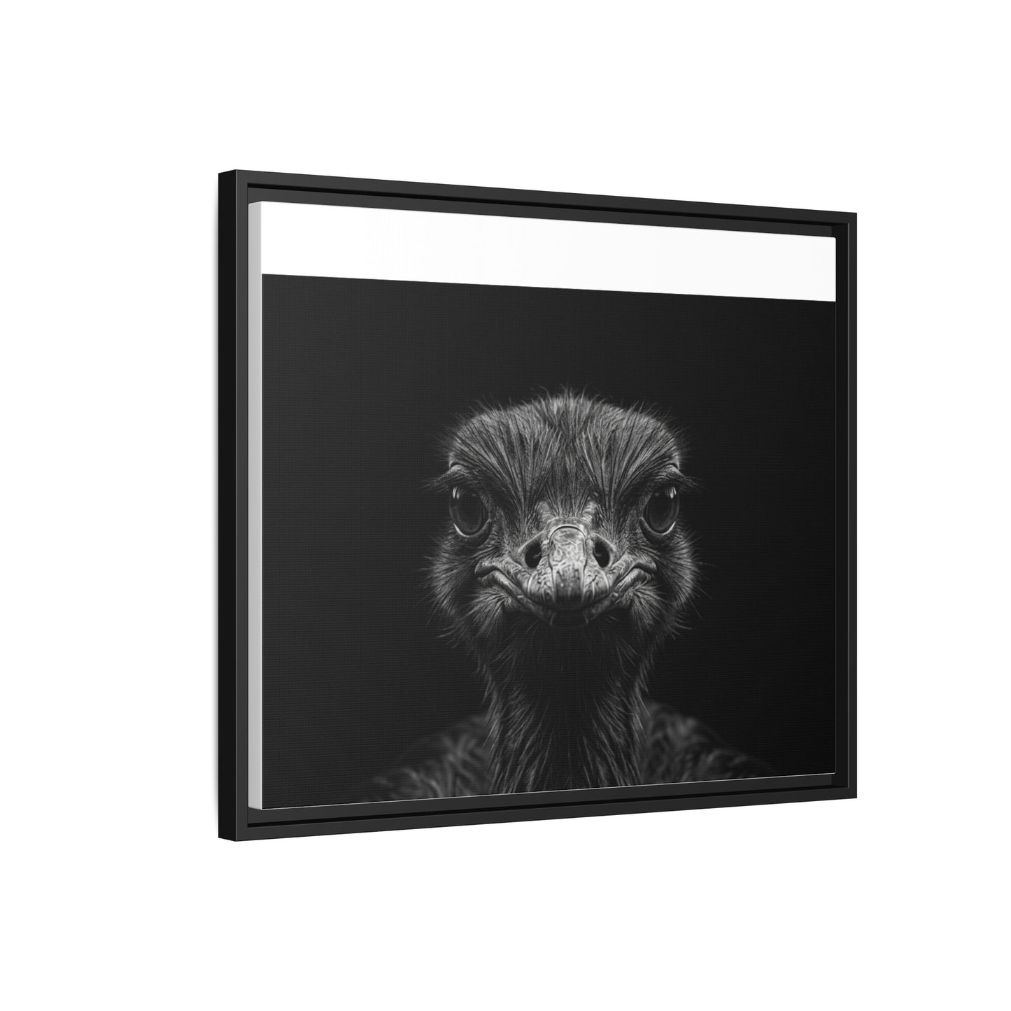 Framed Canvas Print — Ostrich In Black