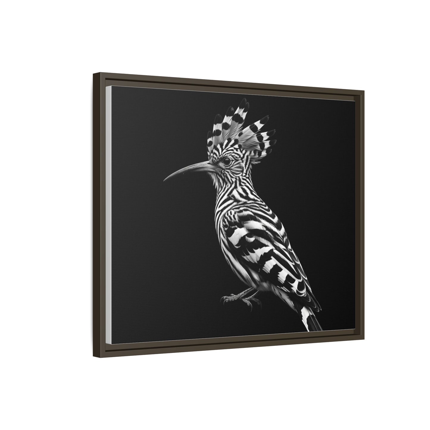 Framed Canvas Print — Afrikan Hoopoe In Black