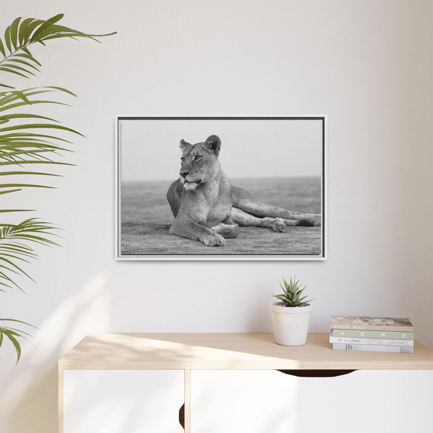 Framed Canvas Print — Lioness In Repose