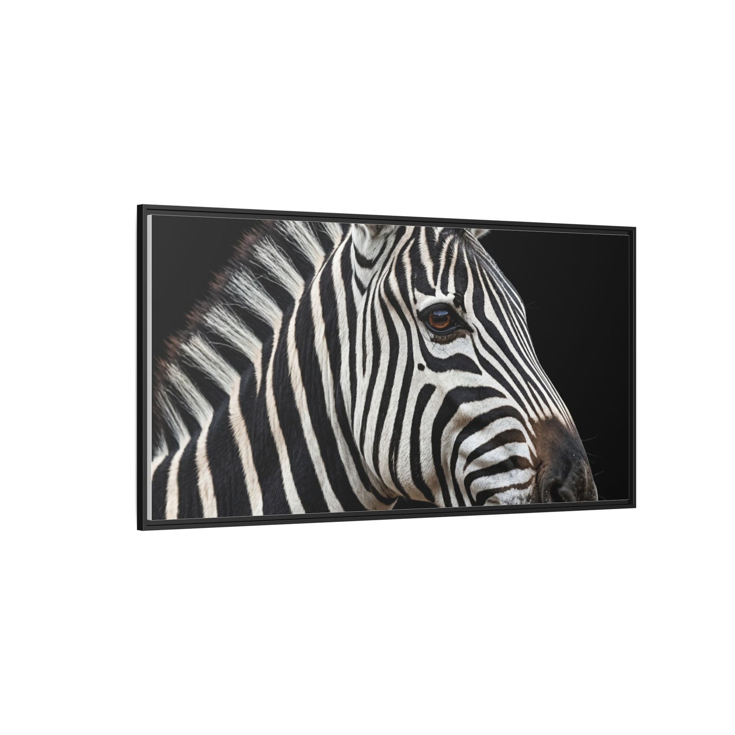 Framed Canvas Print — Zebra In Colour
